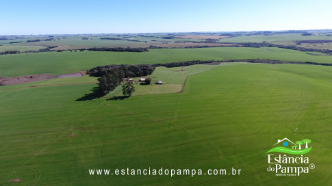 VAI DA BR PARA A FAZENDA.00_02_17_04.Quadro023_e4fe7194e796060b0d556193949526f3c9ddb01c.jpg